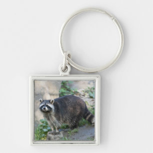 Raccoon Keychain