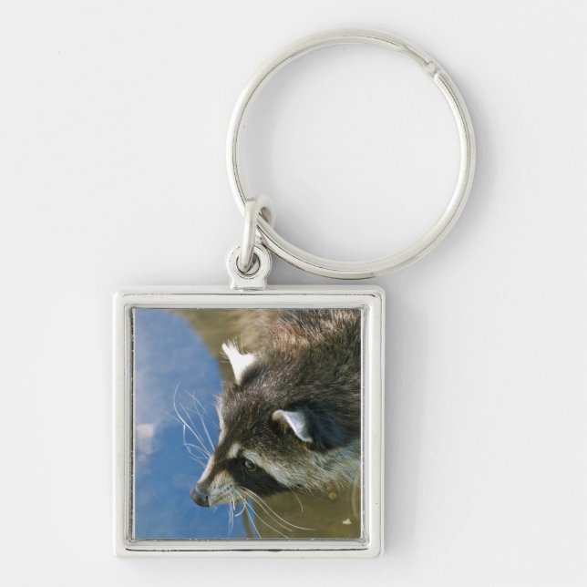 Raccoon Keychain (Front)