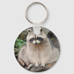 Raccoon Keychain