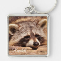 Raccoon
