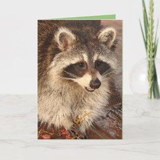 Raccoon Kit with Grapes blank note card