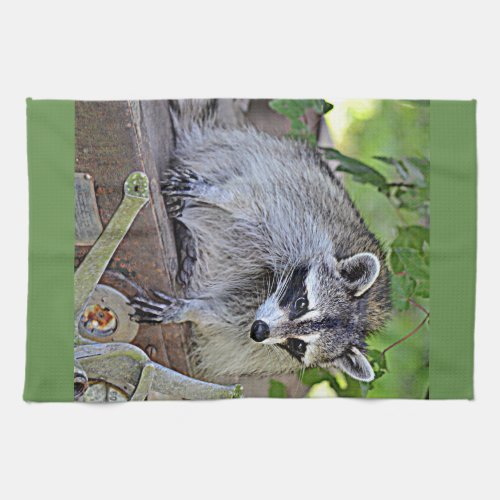 Raccoon Kitchen Towel