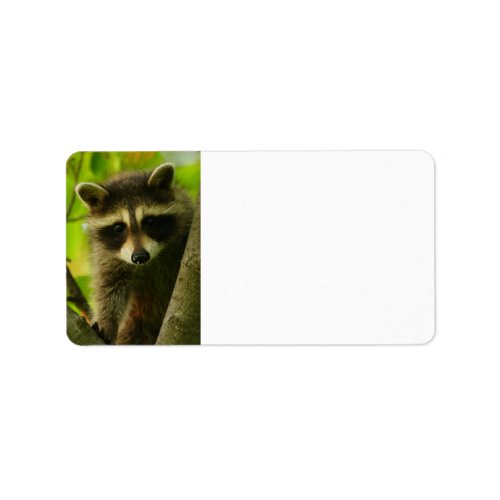 raccoon label