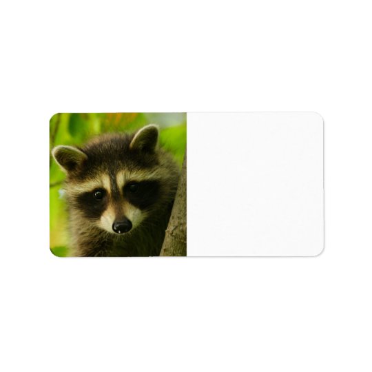 raccoon label | Zazzle.com