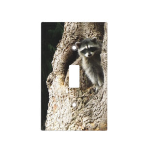 Raccoon Light Switch Cover