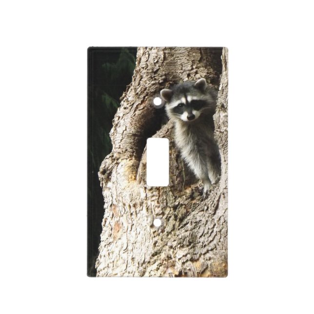 Raccoon Light Switch Cover (Front)