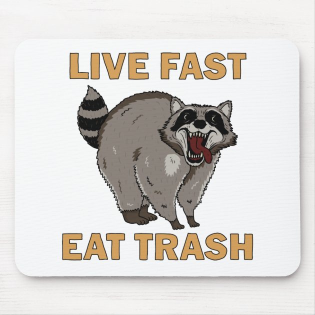 racoon trash mouse pad