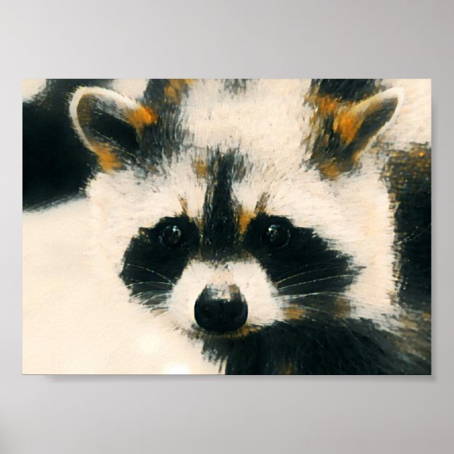Raccoon Lover Poster (Front)