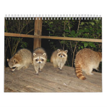 Raccoon Lovers Photo Calendar