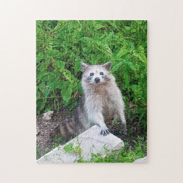 Raccoon Lovers Wildlife Jigsaw Puzzle (Vertical)
