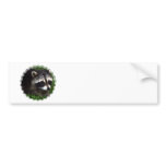 Raccoon Mask Bumper Sticker