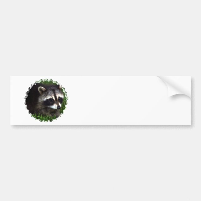 Raccoon Mask Bumper Sticker (Front)
