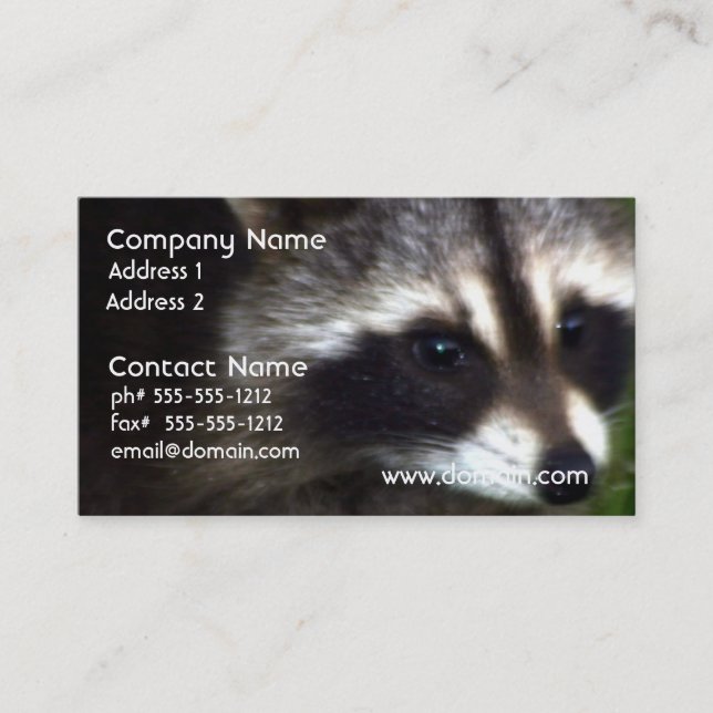 Raccoon Mask Business Cards (Front)