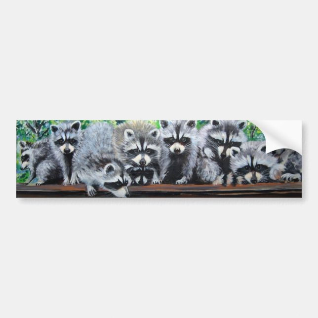 Raccoon Meeting Bumper Sticker (Front)