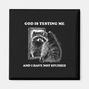 Raccoon Meme Funny Saying God Is Testing Me Street Magnet