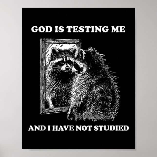 Raccoon Meme Funny Saying God Is Testing Me Street Poster (Front)