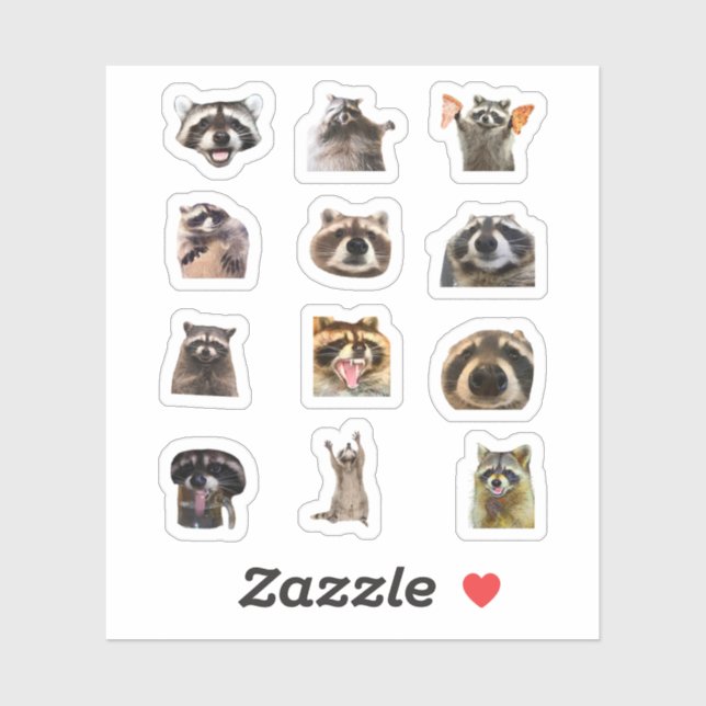 Raccoon Meme Funny Sticker Set Bundle (Sheet)