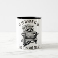 Raccoon Meme, IT IS WHAT IT IS AND IT IS NOT GREAT