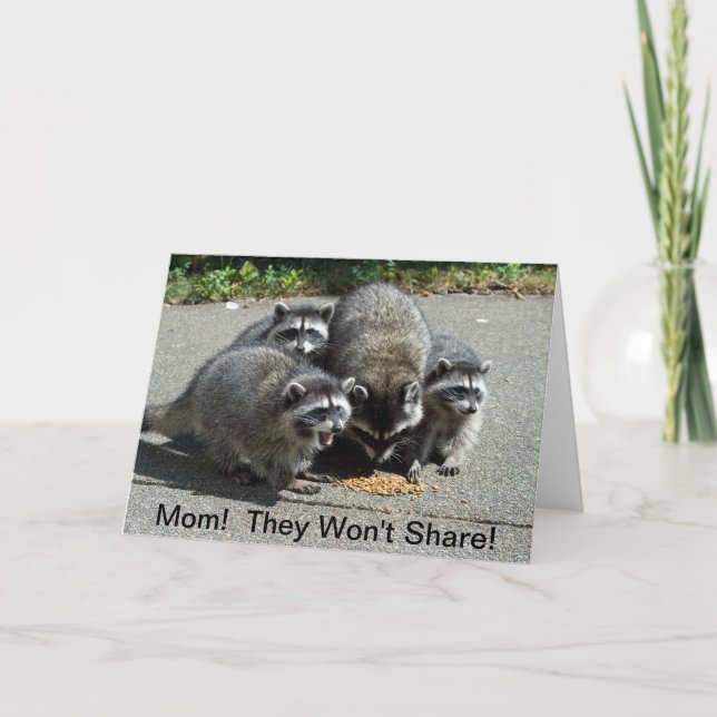 Raccoon Mom & Babies Card (Front)