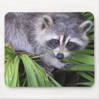 Raccoon Mouse Pad