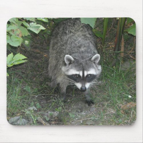 Raccoon Mouse Pad