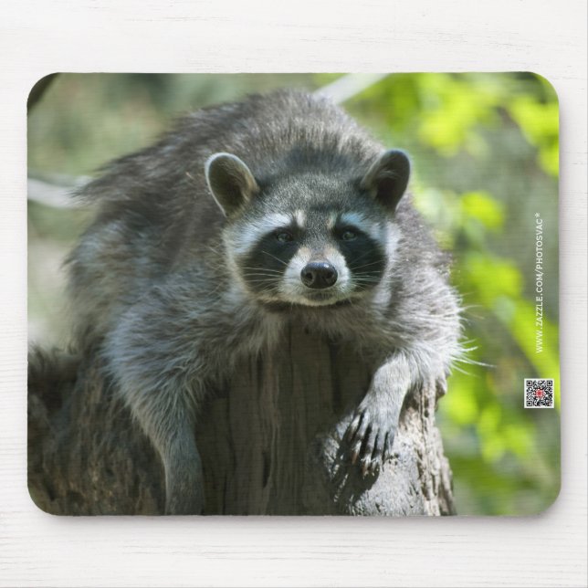 Raccoon Mousepad (Front)
