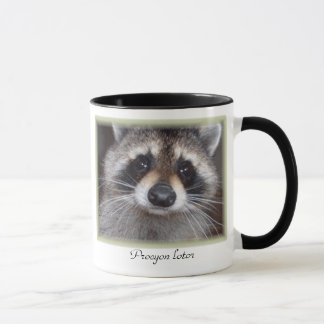 Raccoon mug - Procyon lotor