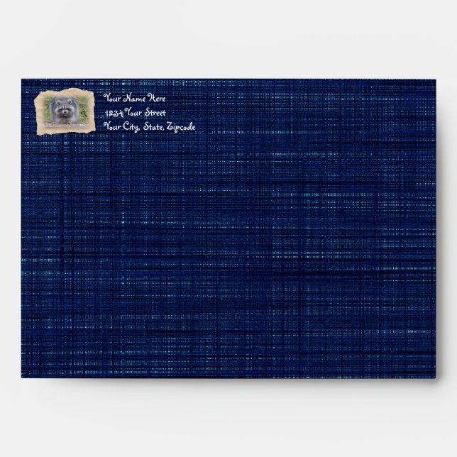 Raccoon - My bird seed! Envelope (Front)