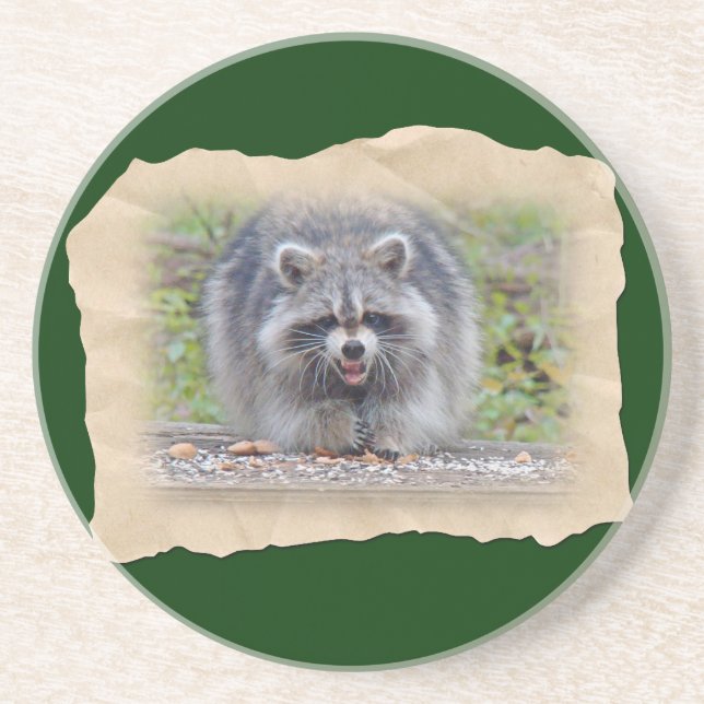 Raccoon - My bird seed! Sandstone Coaster (Front)