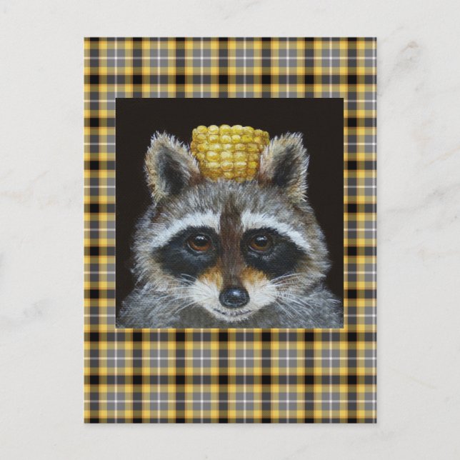 Raccoon on plaid postcard (Front)