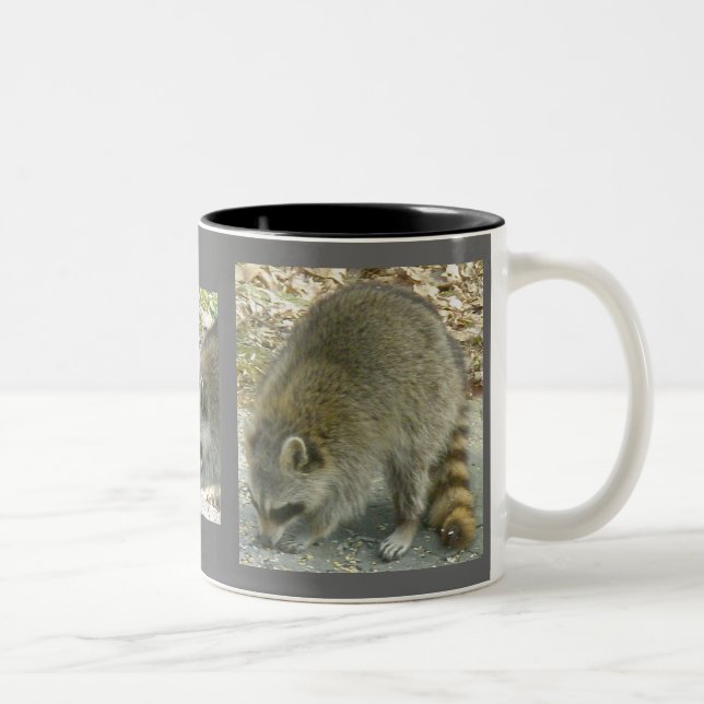 Raccoon on Rock Mug (Right)