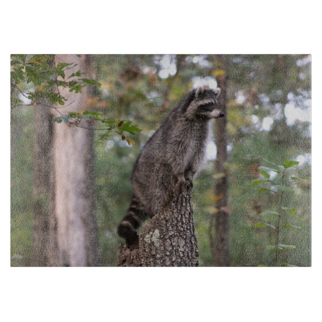 Raccoon on stump cutting board (Front)