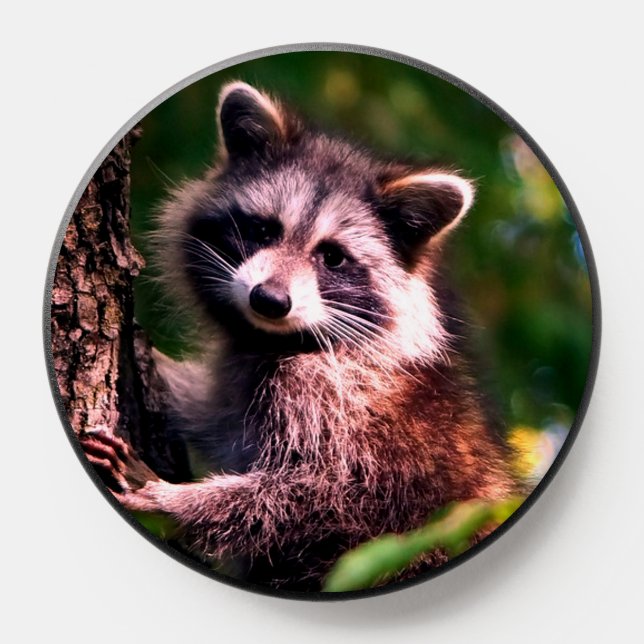 Raccoon on the Forest PopSocket (Popsocket)