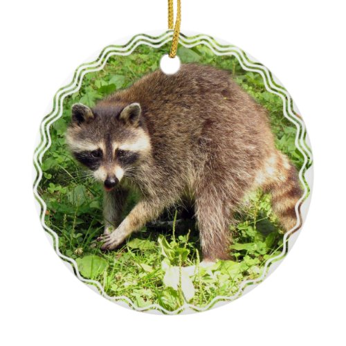 Raccoon Ornament