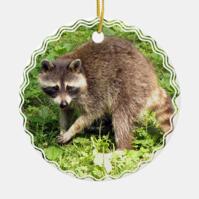 Raccoon Ornament (Front)