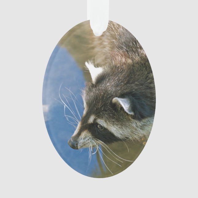 Raccoon Ornament (Front)