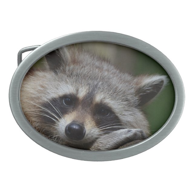 Raccoon Oval Belt Buckle (Front)