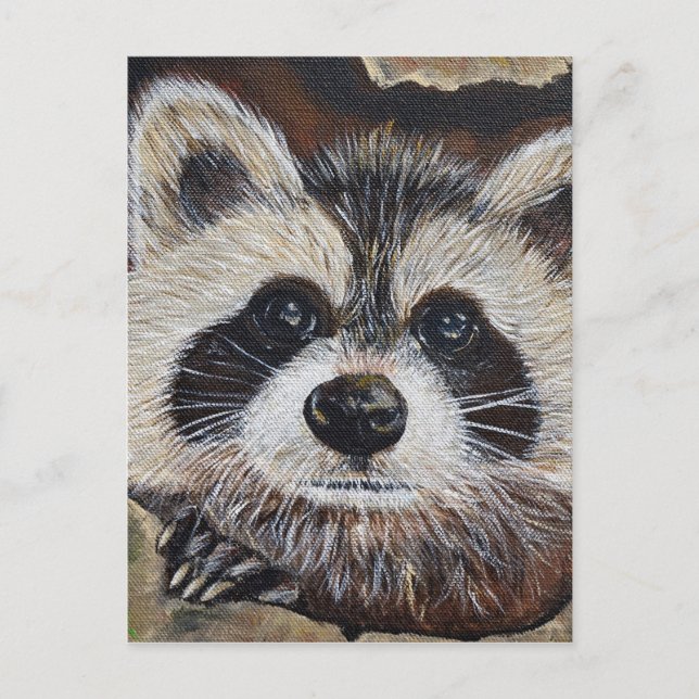 Raccoon Painting Postcard (Front)