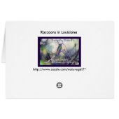 Raccoon Pair Cards (Back Horizontal)