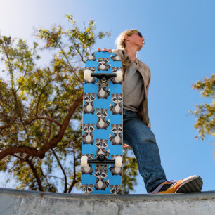 Raccoon Pattern Design Blue Skateboard