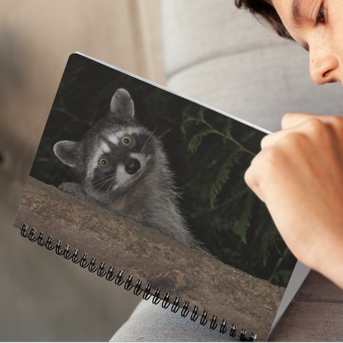 Raccoon Peeking from Behind Tree Nature Photo Notebook