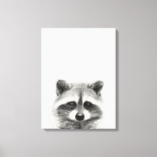 Raccoon Pencil Drawing Canvas Print