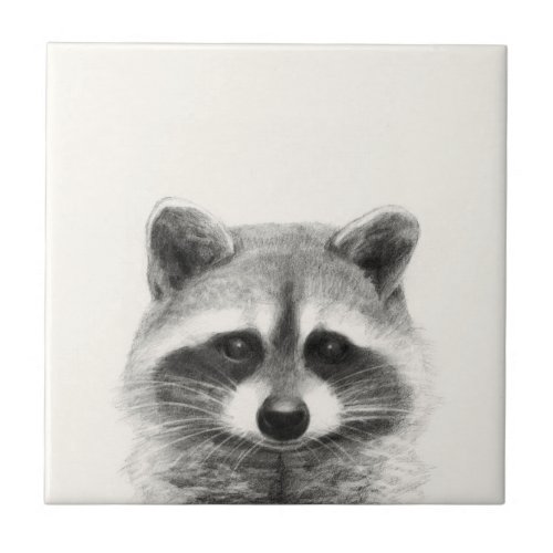 Raccoon Pencil Drawing Ceramic Tile