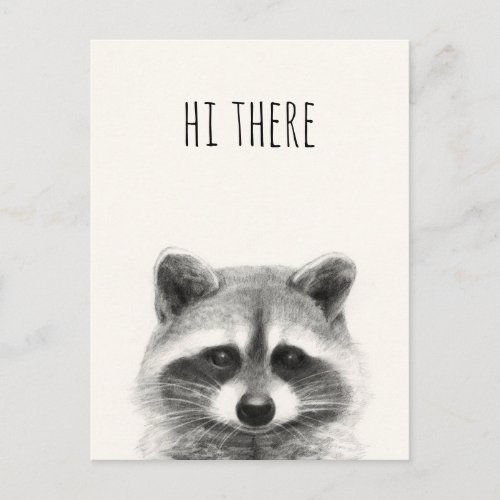 Raccoon Pencil Drawing _ Hi There Postcard