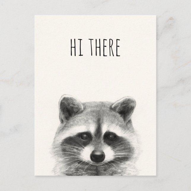 Raccoon Pencil Drawing - Hi There Postcard (Front)