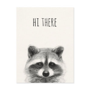 Raccoon Pencil Drawing - Hi There Postcard