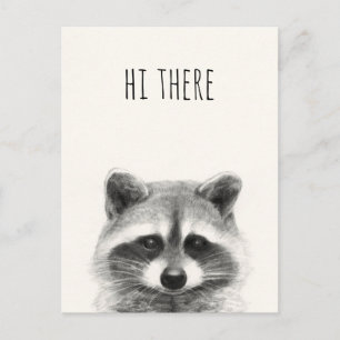 Raccoon Pencil Drawing - Hi There Postcard