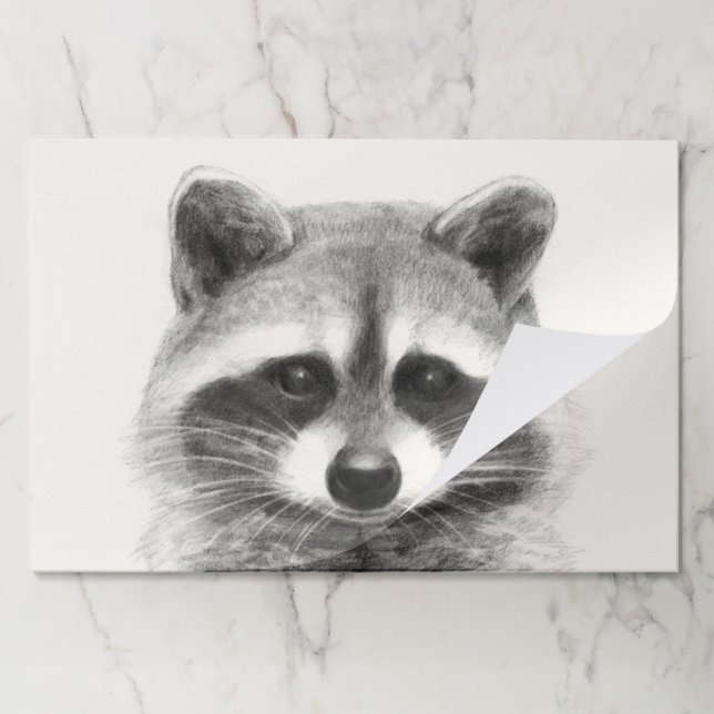 Raccoon Pencil Drawing Paper Pad (Folded)