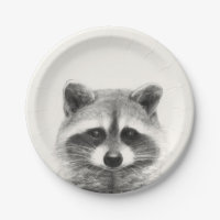 Raccoon Pencil Drawing