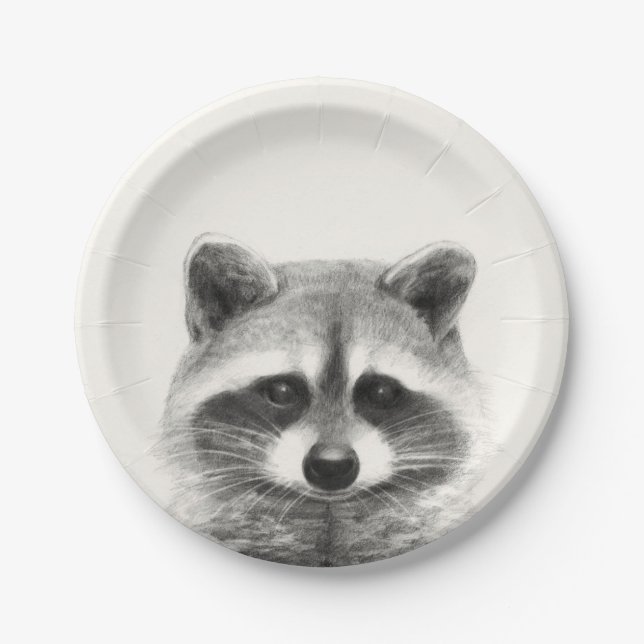 Raccoon Pencil Drawing Paper Plates (Front)